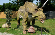 Dinosaurs Park